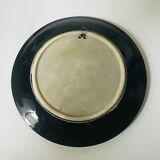 Fish slushie plate