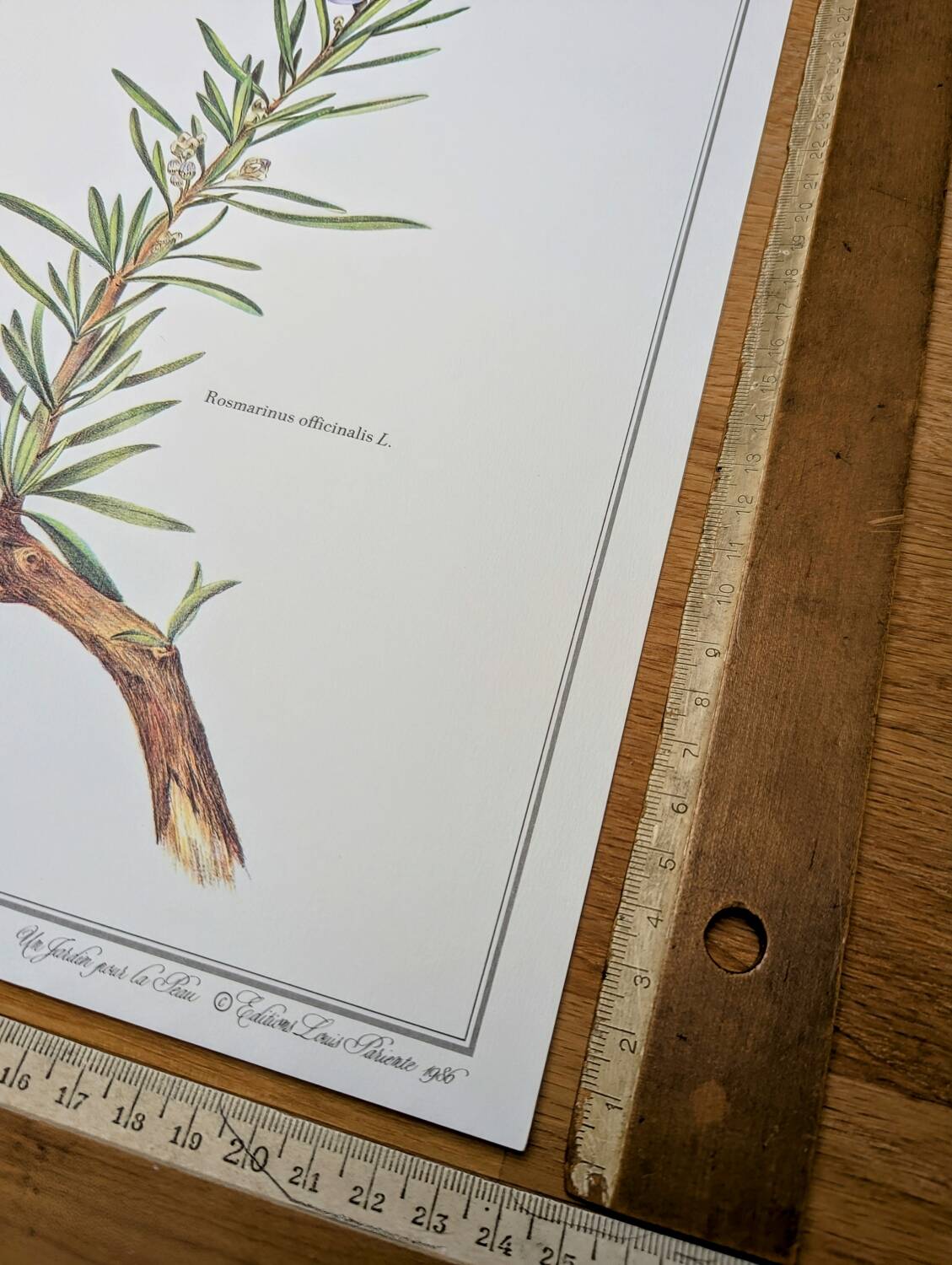 Printed in 1986, Le Romarin.