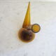 Oil and vinegar maker in amber glass