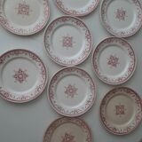 Set of 9 flat Plates