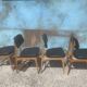 Chaise vintage skaï noir