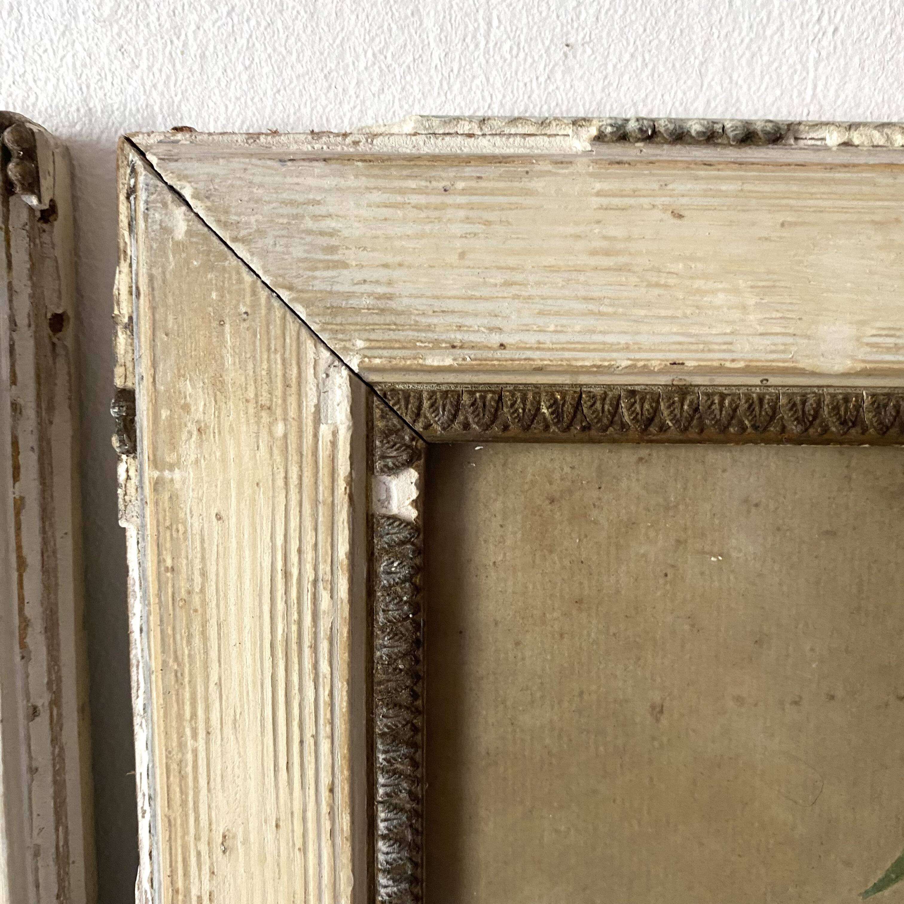 Triptych of old watercolors, flowers, 19th century