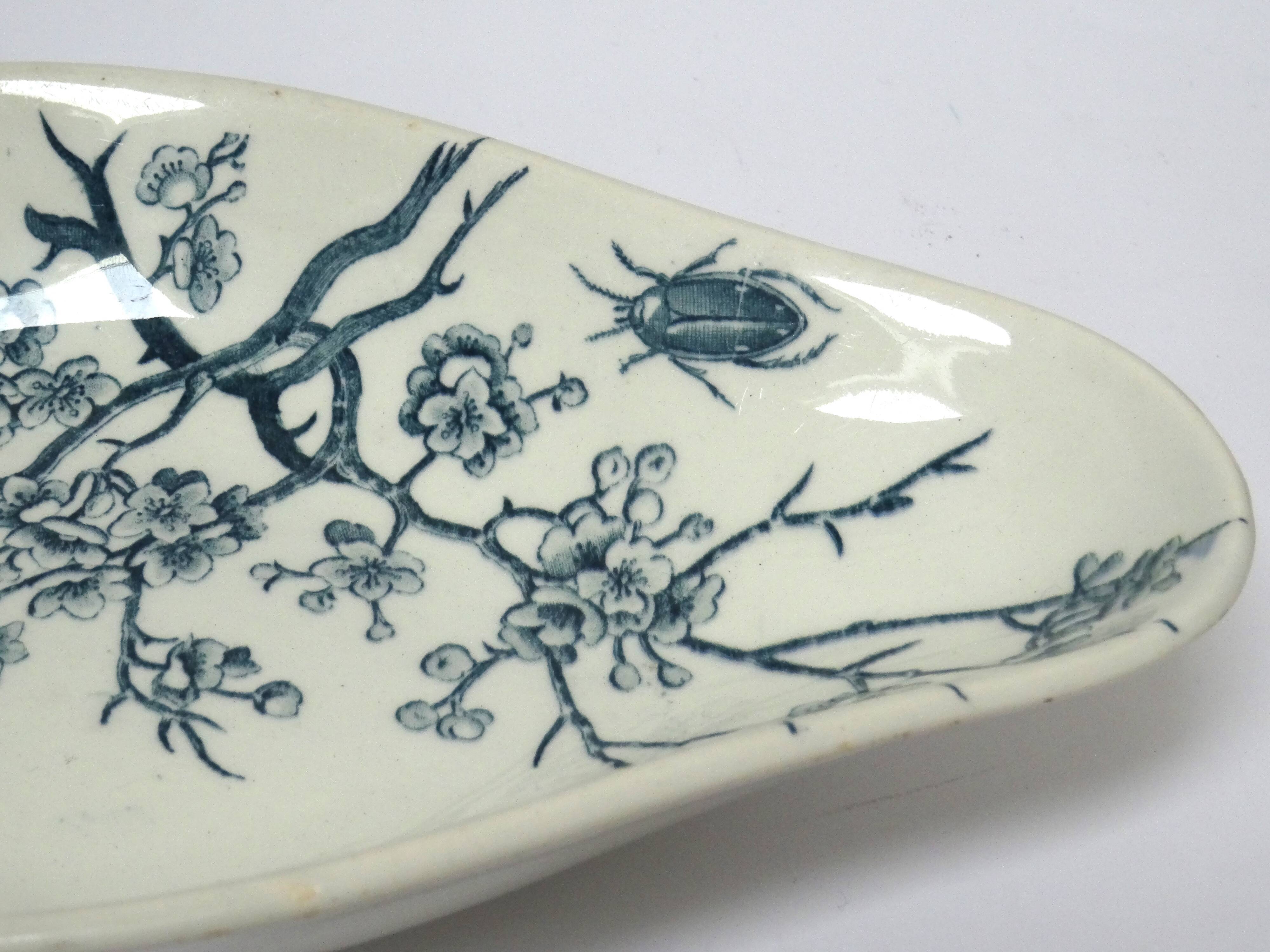 Ravier Luneville Insects