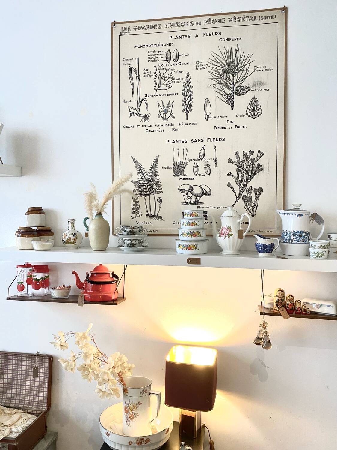 Old school poster vintage botanical poster