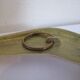 Wall Decoration Set 6 X Seagull / Swallow / Bird. Brass 70 / 80s