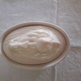 Vintage ceramic terrine dish with duck pattern
