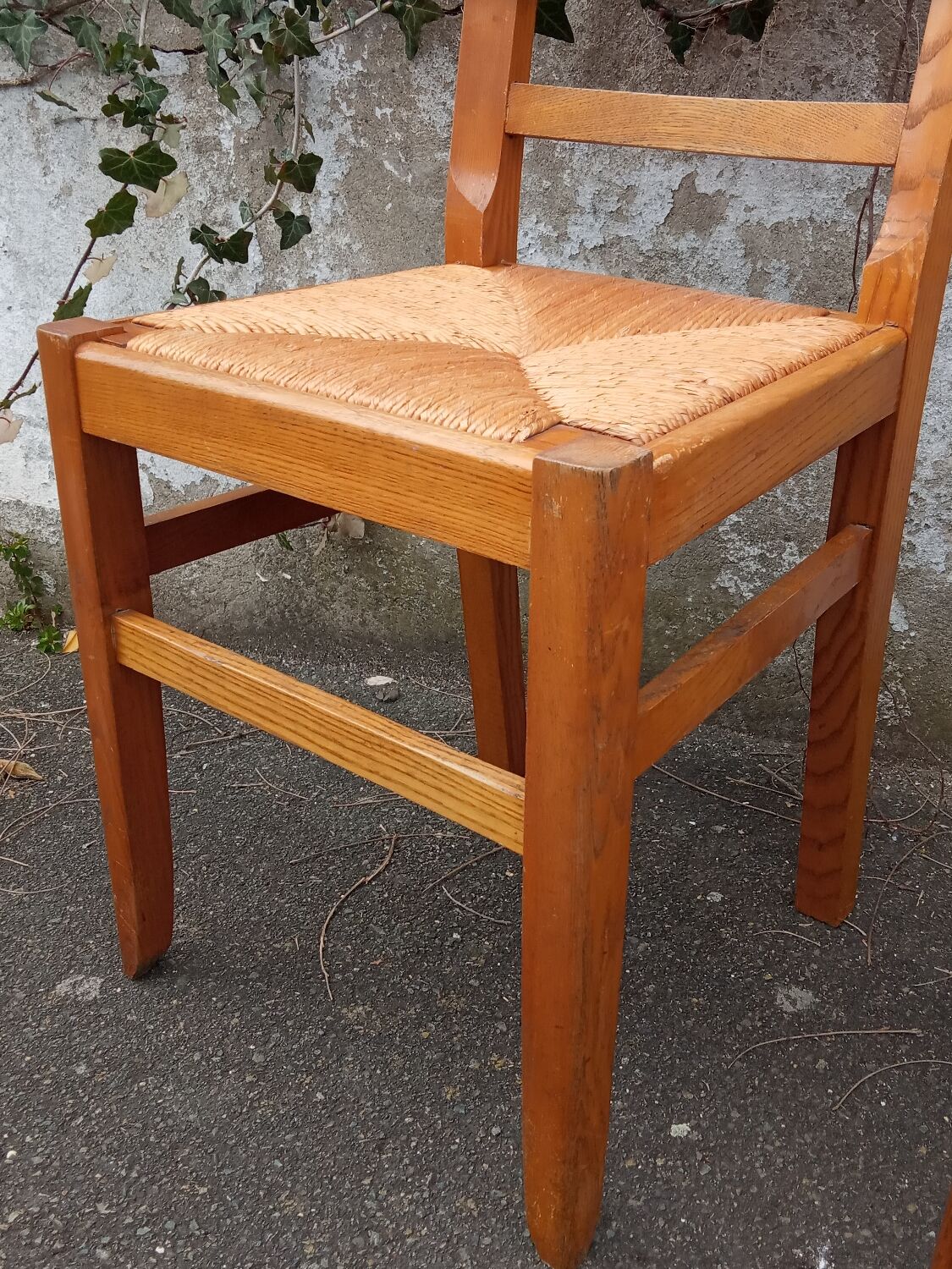 Paire de chaises paillées années 50