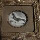 Animal engraving gilded stuccoed wood frame nineteenth century