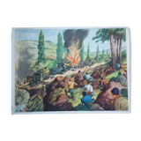 Rossignol / montmorillon educational poster