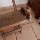 TRIBAL HUNTING CHAIR FROM GUATEMALA