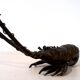 Bronze lobster Okimono Japan circa 1900