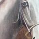 Peinture à l'huile vintage originale de cheval blanc, portrait équestre signé.