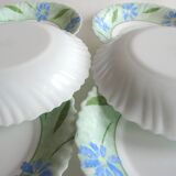 Green arcopal hollow plates