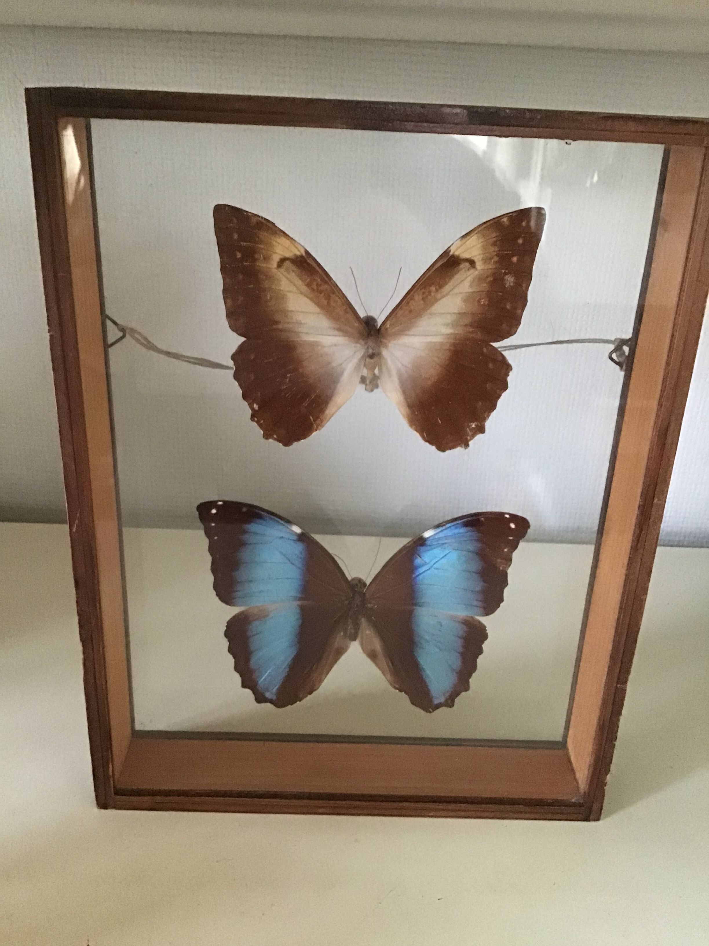 Wooden frame with 2 butterflies