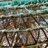 Fishing net lamp