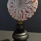 Cabinet of Curiosities shell tectus niloticus on base