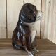 Ceramic dog statuette