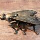 Cendrier "mouche" 1960s