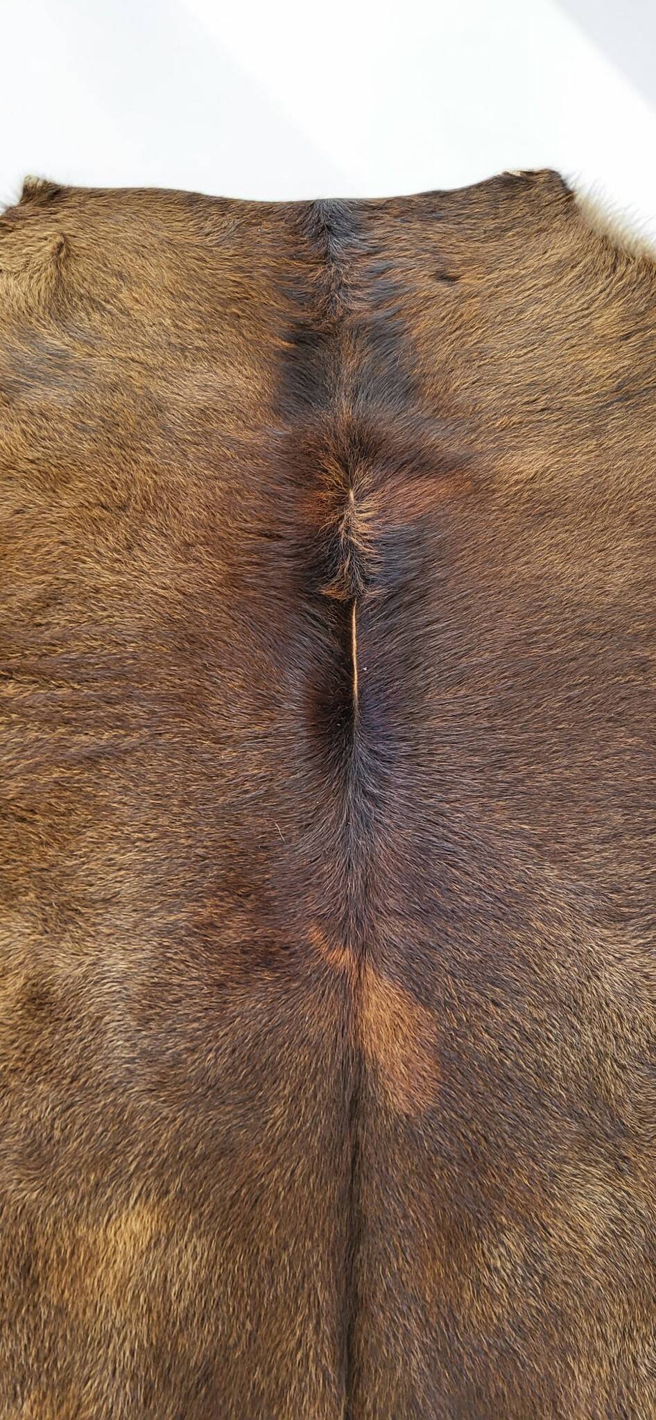 Cowhide / calfskin
