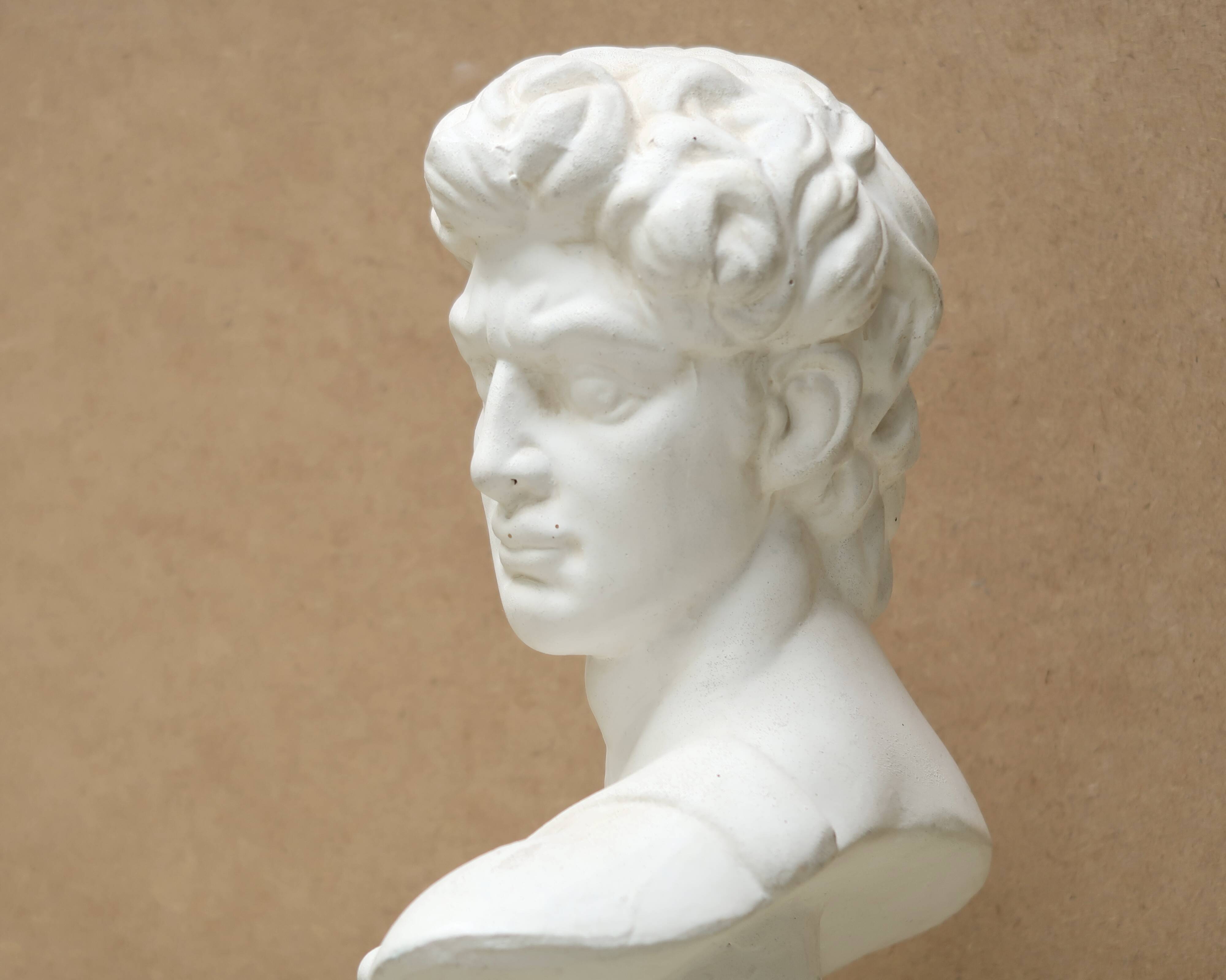 Plaster bust of a man: David, 1980s