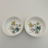 2 bowls Villeroy & Boch Botanica