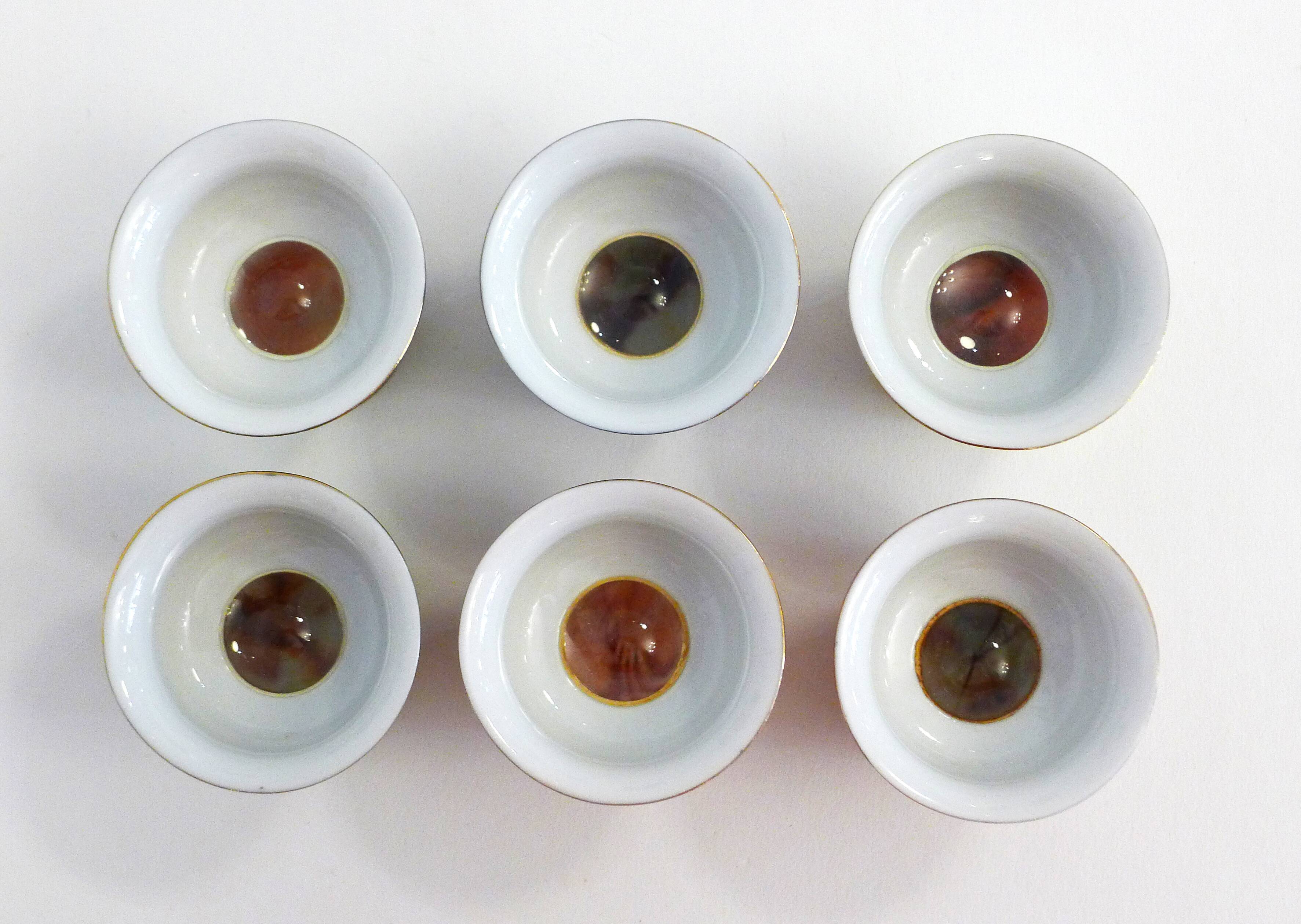 Set of 6 erotic sake glasses