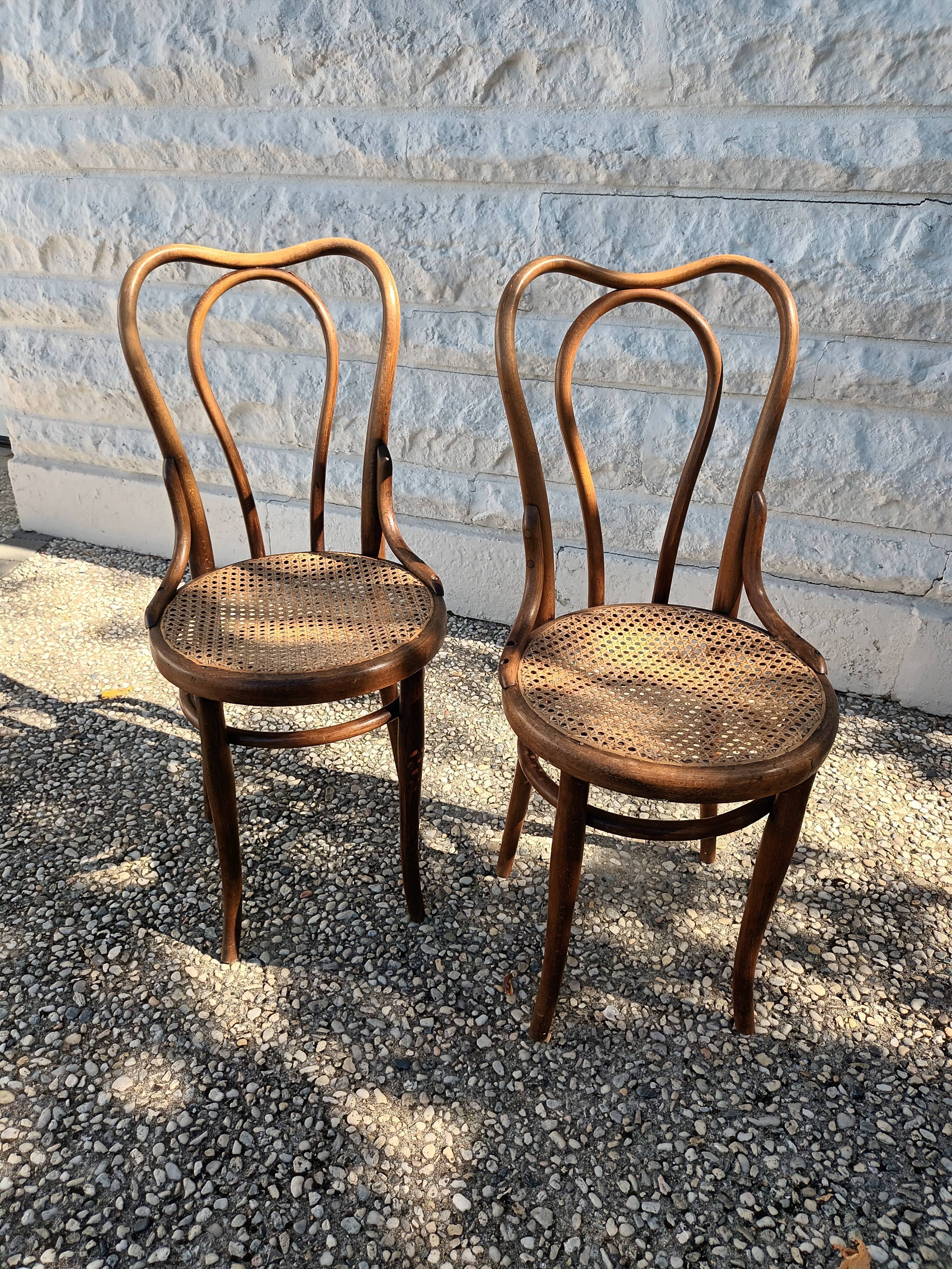 Chairs Thonet