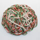 Coupe par Gaetano Pesce pour Fish Design NY