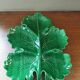 Vintage green leaf slip dish