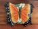 Dessous de plat papillon