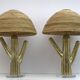 Pair of Hollywood Regency Rattan and Brass Cactus Lamps, Italy, 1990s