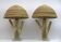 Pair of Hollywood Regency Rattan and Brass Cactus Lamps, Italy, 1990s