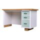 1950s vintage desk