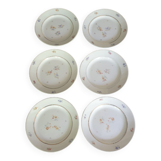 Six Gien plates