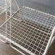 4 vintage folding chairs "Ted Net"