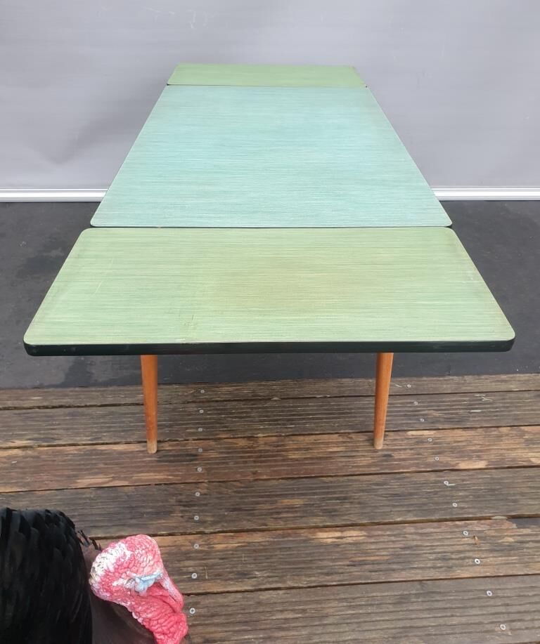 Expandable compass feet table and green vinyl tray from China
