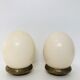 Pair of ostrich eggs on base, early 20th
