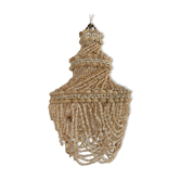 Lustre shell cauris