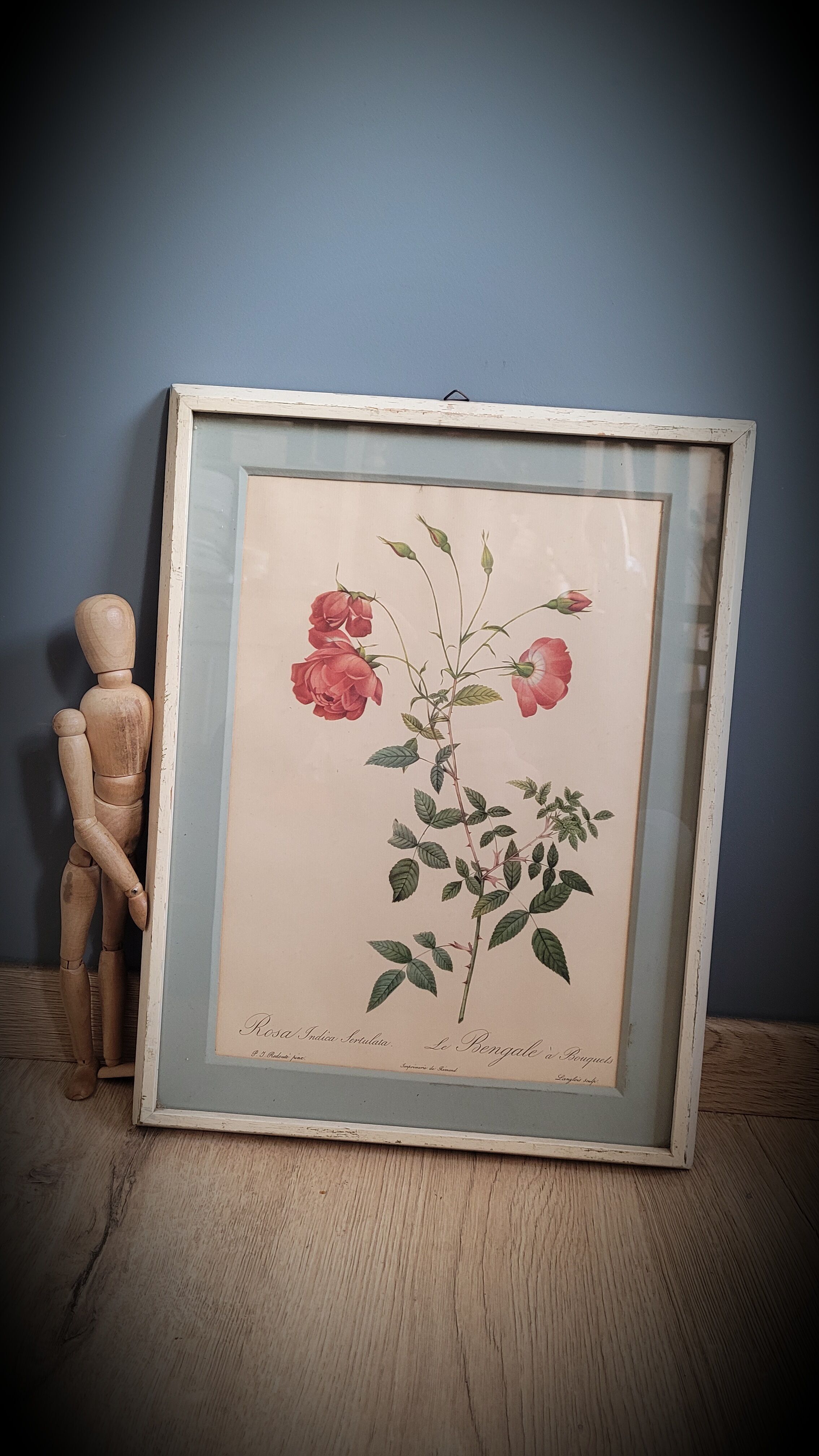 Authentic and ancient lithograph of Redouté representing a Bengal rose with bouquets (in a c