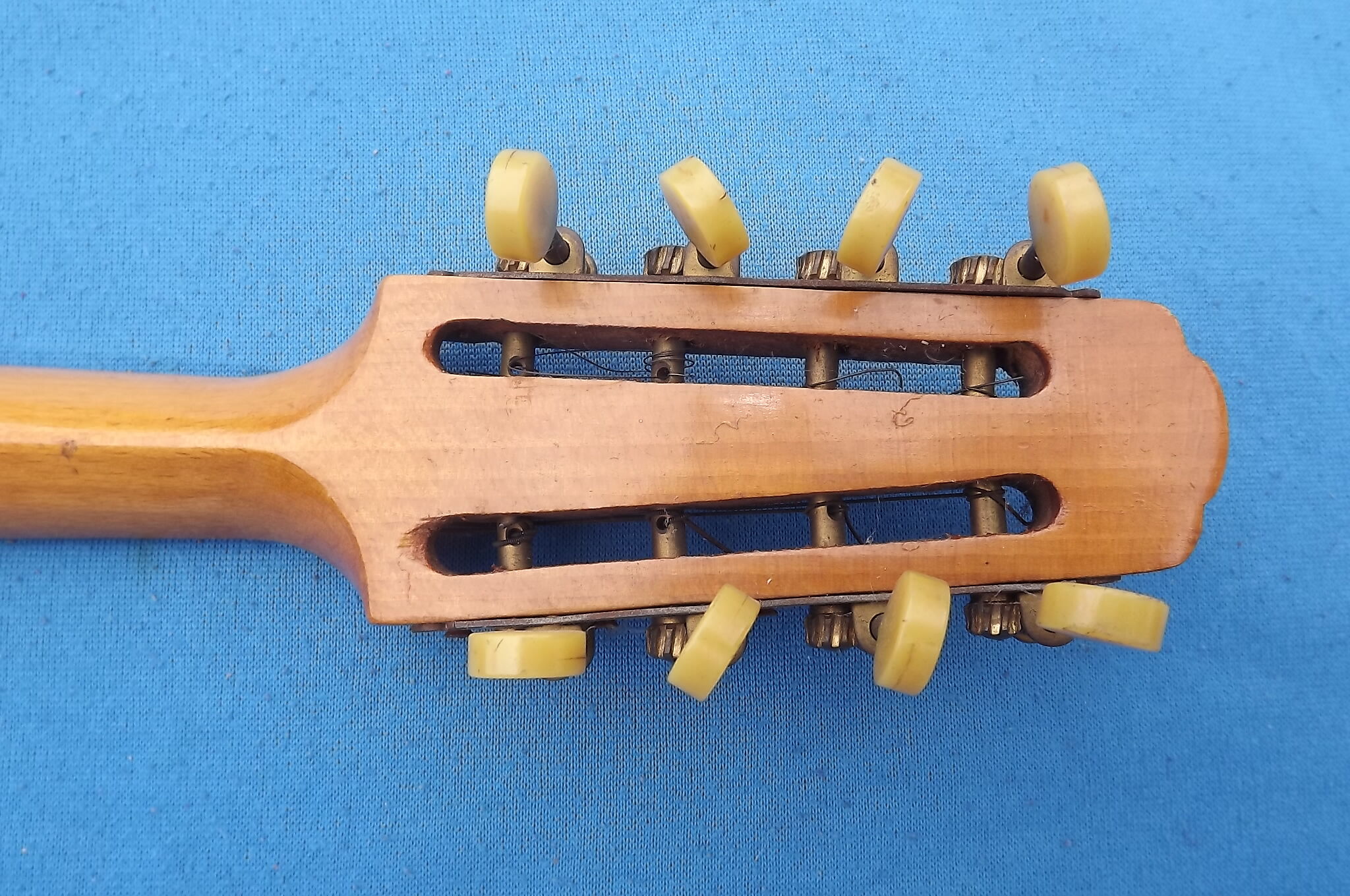 Banjo Canto