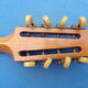 Banjo Canto