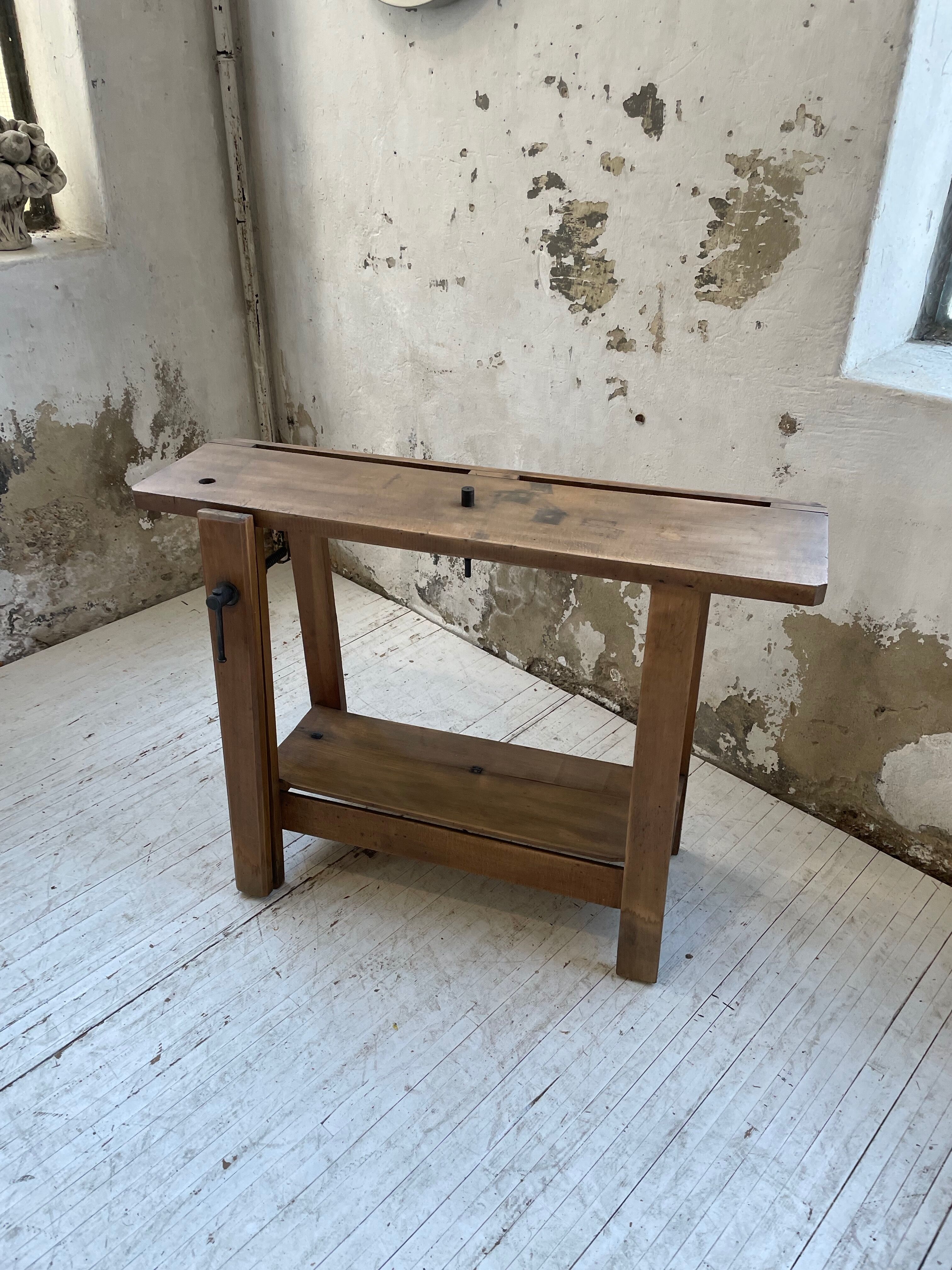 Established XS in cherry tree