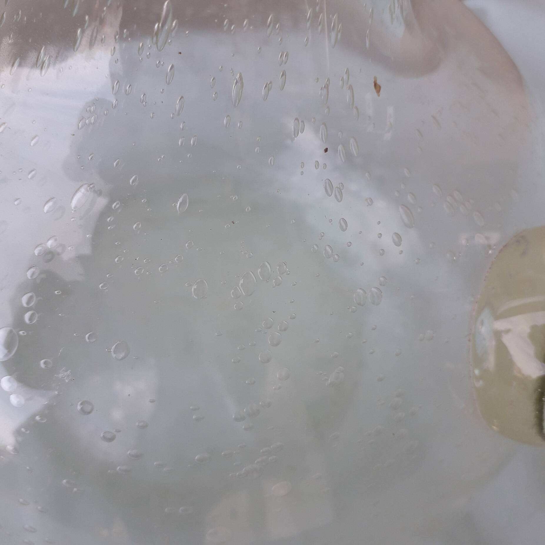 Bubble glass carafe