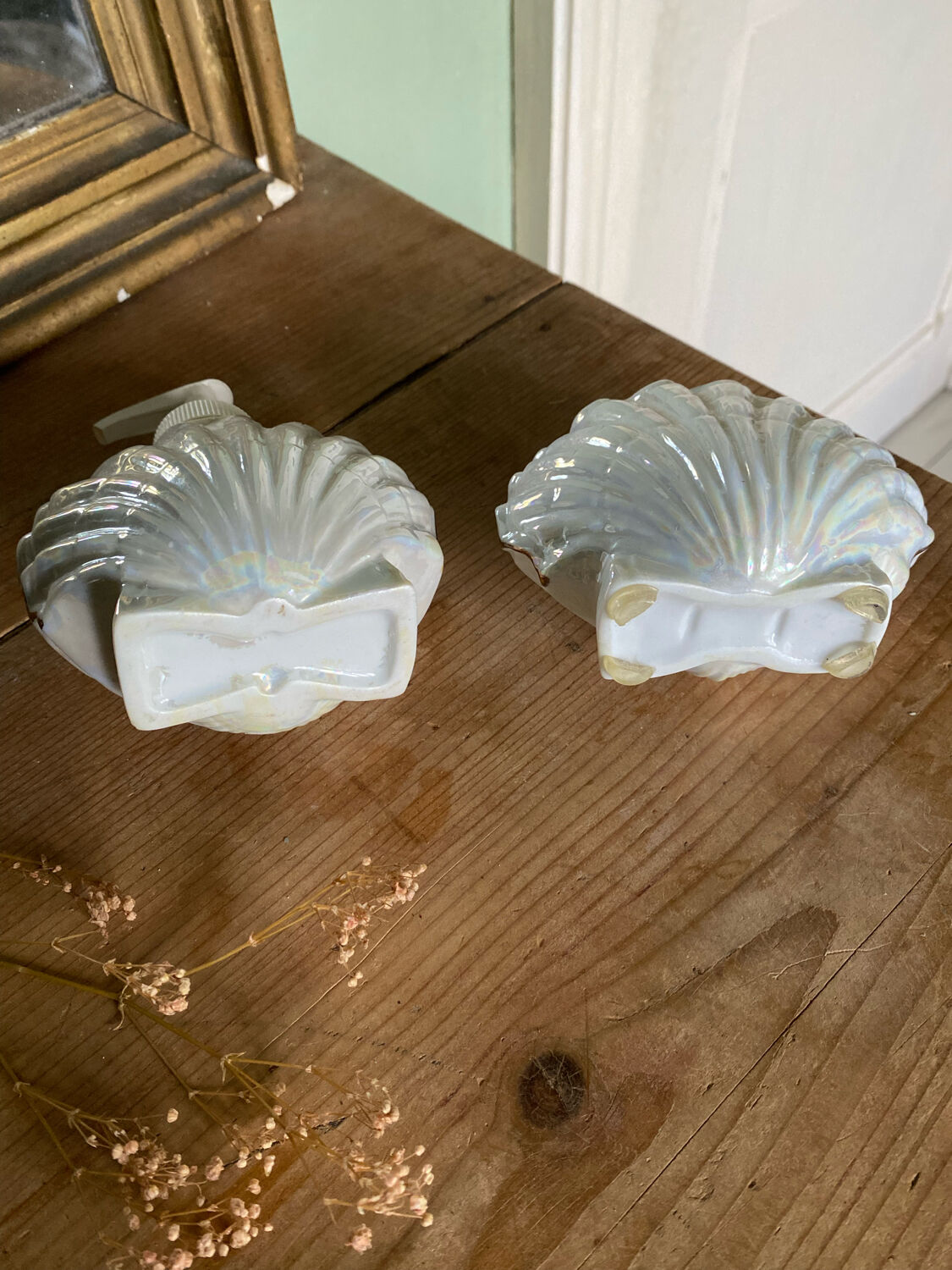 Soap dispenser and shell toothbrush storage