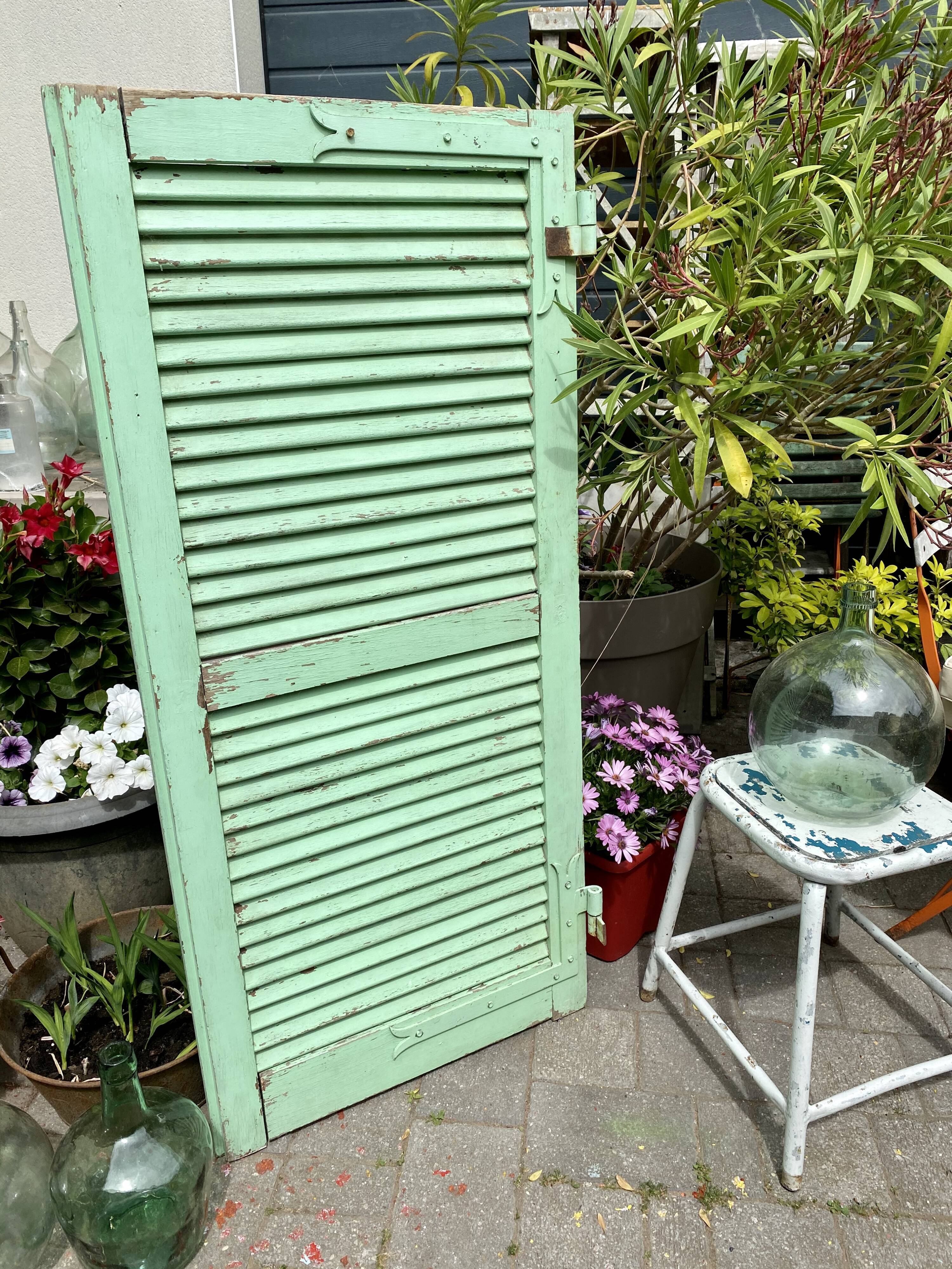 Ancient persian-coloured wood-wood mint