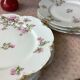 Plates Haviland Limoges 1900 - floral decoration liberty