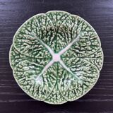 Small plate of cabbage in barbotine