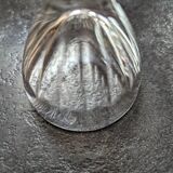 Lot 6 old digestive glasses 1940 TBE