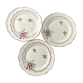 Set de 3 assiettes plates