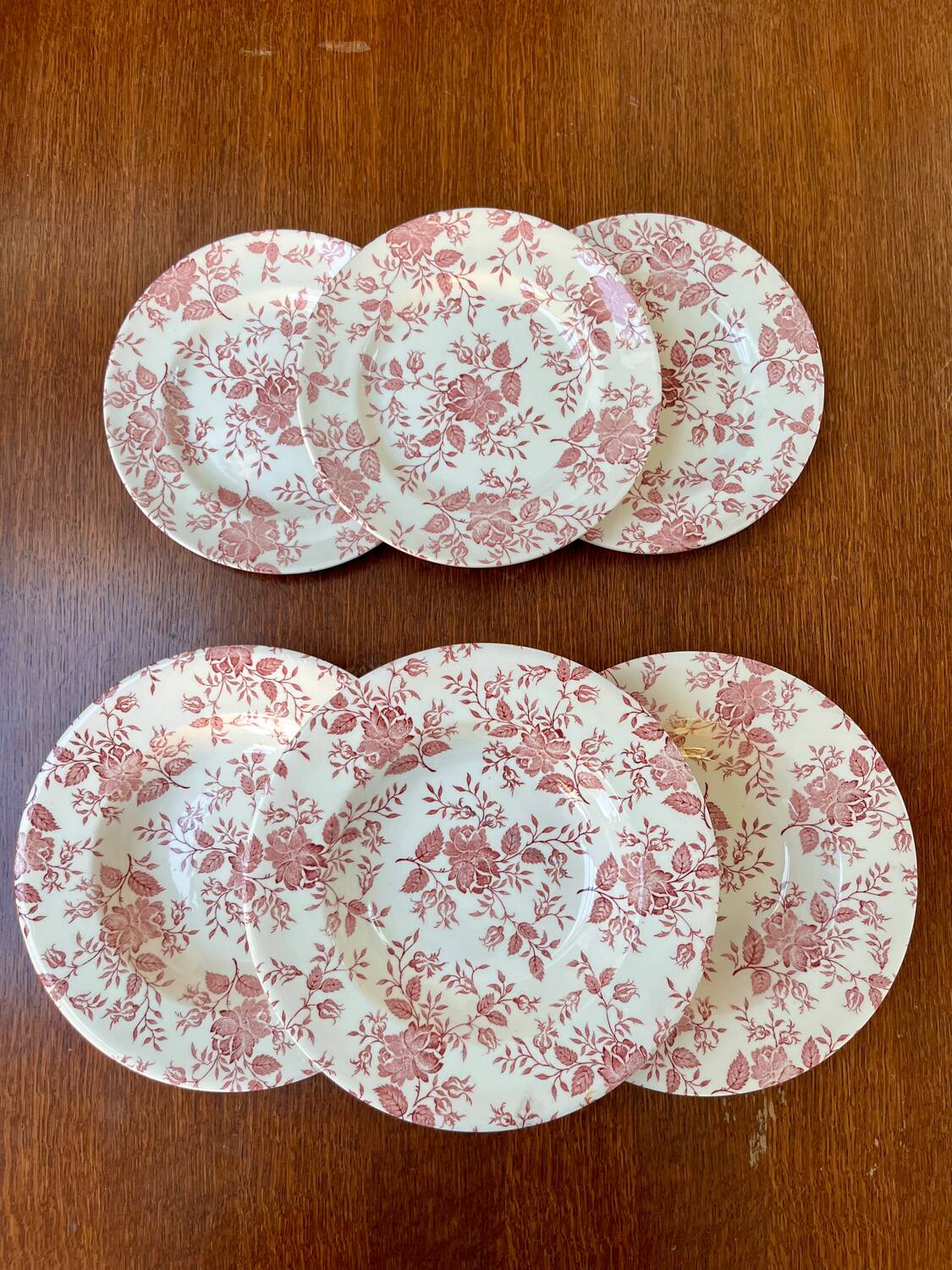 Set of 6 vintage plates in English earthenware.
